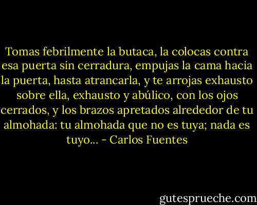 Tomas febrilmente la butaca, la colocas contra esa puerta sin cerradura, empujas la cama hacia la puerta, hasta atrancarla, y te arrojas exhausto sobre ella, exhausto y abúlico, con los ojos cerrados, y los brazos apretados alrededor de tu almohada: tu almohada que no es tuya; nada es tuyo... - Carlos Fuentes