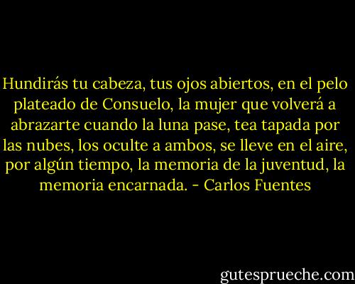 Hundirás tu cabeza, tus ojos abiertos, en el pelo plateado de Consuelo, la mujer que volverá a abrazarte cuando la luna pase, tea tapada por las nubes, los oculte a ambos, se lleve en el aire, por algún tiempo, la memoria de la juventud, la memoria encarnada. - Carlos Fuentes