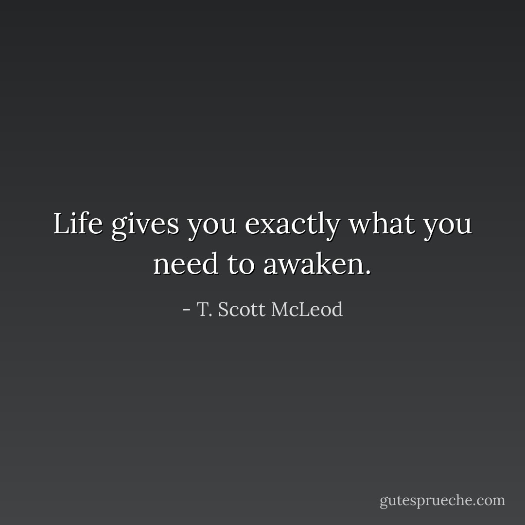 Life gives you exactly what you need to awaken. - T. Scott McLeod