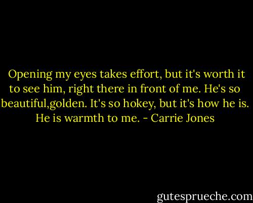  Opening my eyes takes effort, but it's worth it to see him, right there in front of me. He's so beautiful,golden. It's so hokey, but it's how he is. He is warmth to me. - Carrie Jones