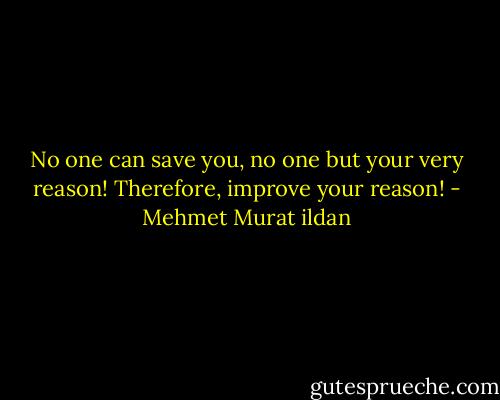 No one can save you, no one but your very reason! Therefore, improve your reason! - Mehmet Murat ildan