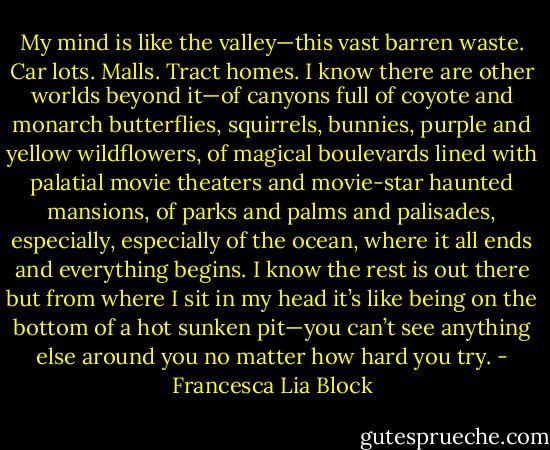 My mind is like the valley—this vast barren waste. Car lots. Malls. Tract homes. I know there are other worlds beyond it—of canyons full of coyote and monarch butterflies, squirrels, bunnies, purple and yellow wildflowers, of magical boulevards lined with palatial movie theaters and movie-star haunted mansions, of parks and palms and palisades, especially, especially of the ocean, where it all ends and everything begins. I know the rest is out there but from where I sit in my head it’s like being on the bottom of a hot sunken pit—you can’t see anything else around you no matter how hard you try. - Francesca Lia Block