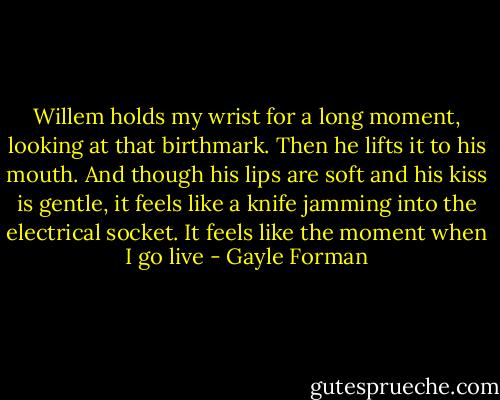 Willem holds my wrist for a long moment, looking at that birthmark. Then he lifts it to his mouth. And though his lips are soft and his kiss is gentle, it feels like a knife jamming into the electrical socket. It feels like the moment when I go live - Gayle Forman