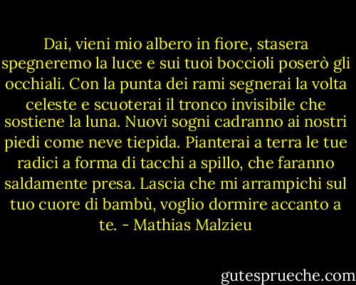 Dai, vieni mio albero in fiore, stasera spegneremo la luce e sui tuoi boccioli poserò gli occhiali. Con la punta dei rami segnerai la volta celeste e scuoterai il tronco invisibile che sostiene la luna. Nuovi sogni cadranno ai nostri piedi come neve tiepida. Pianterai a terra le tue radici a forma di tacchi a spillo, che faranno saldamente presa. Lascia che mi arrampichi sul tuo cuore di bambù, voglio dormire accanto a te. - Mathias Malzieu