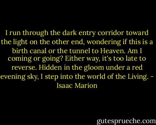 I run through the dark entry corridor toward the light on the other end, wondering if this is a birth canal or the tunnel to Heaven. Am I coming or going? Either way, it's too late to reverse. Hidden in the gloom under a red evening sky, I step into the world of the Living. - Isaac Marion