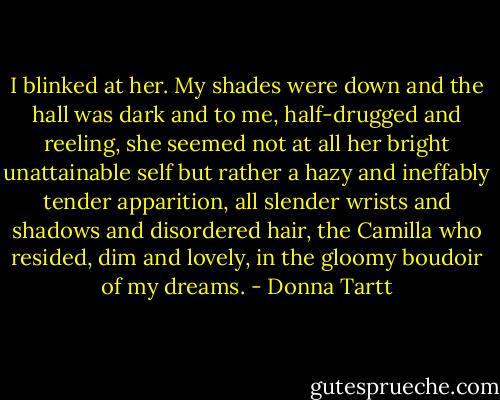 I blinked at her. My shades were down and the hall was dark and to me, half-drugged and reeling, she seemed not at all her bright unattainable self but rather a hazy and ineffably tender apparition, all slender wrists and shadows and disordered hair, the Camilla who resided, dim and lovely, in the gloomy boudoir of my dreams. - Donna Tartt