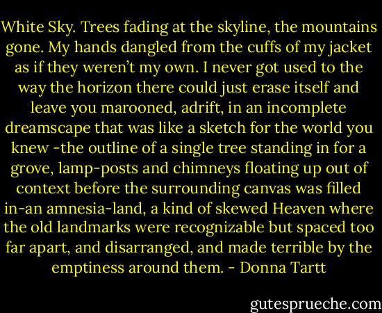 White Sky. Trees fading at the skyline, the mountains gone. My hands dangled from the cuffs of my jacket as if they weren’t my own. I never got used to the way the horizon there could just erase itself and leave you marooned, adrift, in an incomplete dreamscape that was like a sketch for the world you knew -the outline of a single tree standing in for a grove, lamp-posts and chimneys floating up out of context before the surrounding canvas was filled in-an amnesia-land, a kind of skewed Heaven where the old landmarks were recognizable but spaced too far apart, and disarranged, and made terrible by the emptiness around them. - Donna Tartt