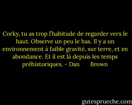Corky, tu as trop l’habitude de regarder<br />vers le haut. Observe un peu le bas. Il y a un<br />environnement à faible gravité, sur terre, et en<br />abondance. Et il est là depuis les temps<br />préhistoriques. - Dan       Brown