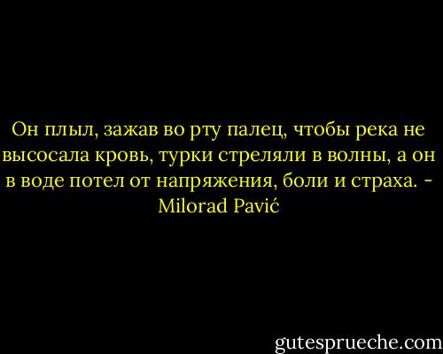 Он плыл, зажав во рту палец, чтобы река не высосала кровь, турки стреляли<br />в волны, а он в воде потел от напряжения, боли и страха. - Milorad Pavić