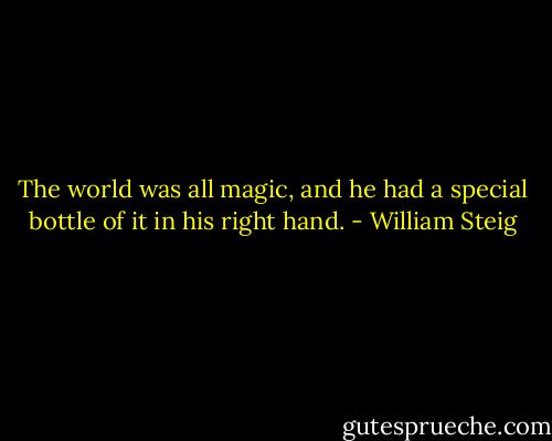 The world was all magic, and he had a special bottle of it in his right hand. - William Steig