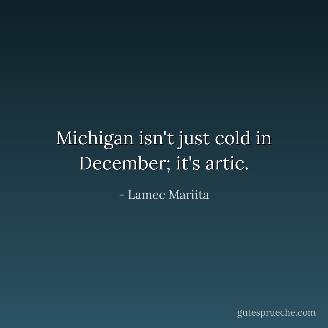Michigan isn't just cold in December; it's artic. - Lamec Mariita