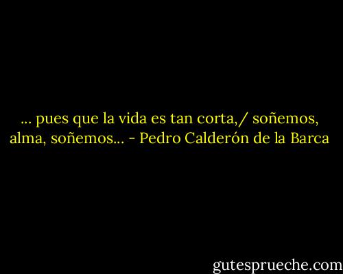 ... pues que la vida es tan corta,/ soñemos, alma, soñemos... - Pedro Calderón de la Barca