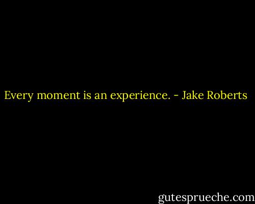 Every moment is an experience. - Jake Roberts