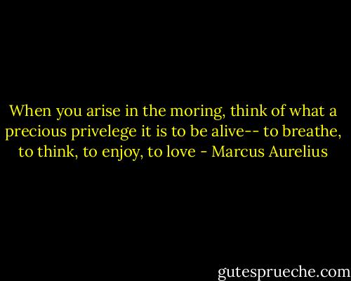 When you arise in the moring, think of what a precious privelege it is to be alive-- to breathe, to think, to enjoy, to love - Marcus Aurelius