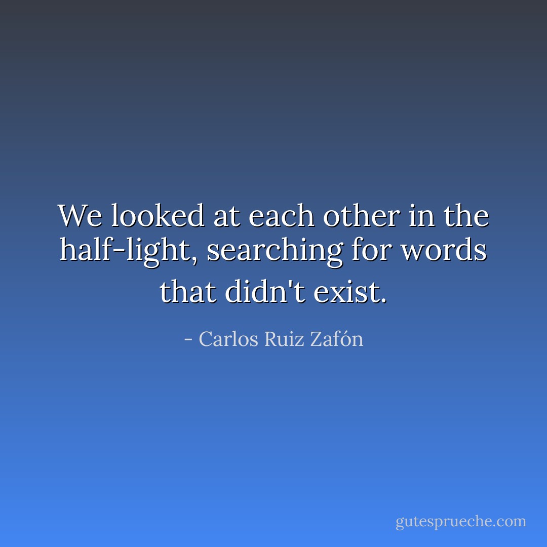 We looked at each other in the half-light, searching for words that didn't exist. - Carlos Ruiz Zafón
