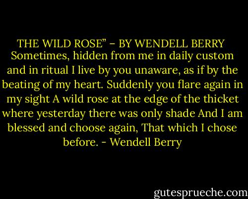 THE WILD ROSE” – BY WENDELL BERRY<br /><br />Sometimes, hidden from me in daily custom and in ritual<br />I live by you unaware, as if by the beating of my heart.<br />Suddenly you flare again in my sight<br />A wild rose at the edge of the thicket where yesterday there was only<br />shade<br />And I am blessed and choose again,<br />That which I chose before. - Wendell Berry