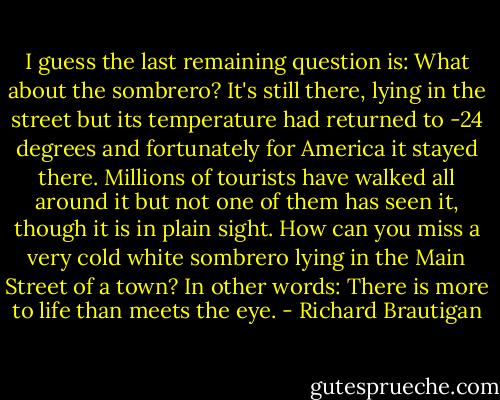 I guess the last remaining question is: What about the sombrero? It's still there, lying in the street but its temperature had returned to -24 degrees and fortunately for America it stayed there. Millions of tourists have walked all around it but not one of them has seen it, though it is in plain sight. How can you miss a very cold white sombrero lying in the Main Street of a town? In other words: There is more to life than meets the eye. - Richard Brautigan