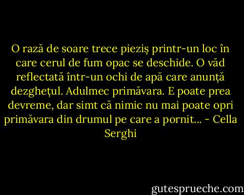 O rază de soare trece pieziș printr-un loc în care cerul de fum opac se deschide. O văd reflectată într-un ochi de apă care anunță dezghețul. Adulmec primăvara. E poate prea devreme, dar simt că nimic nu mai poate opri primăvara din drumul pe care a pornit... - Cella Serghi