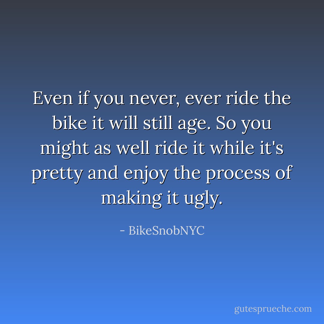 Even if you never, ever ride the bike it will still age. So you might as well ride it while it's pretty and enjoy the process of making it ugly. - BikeSnobNYC