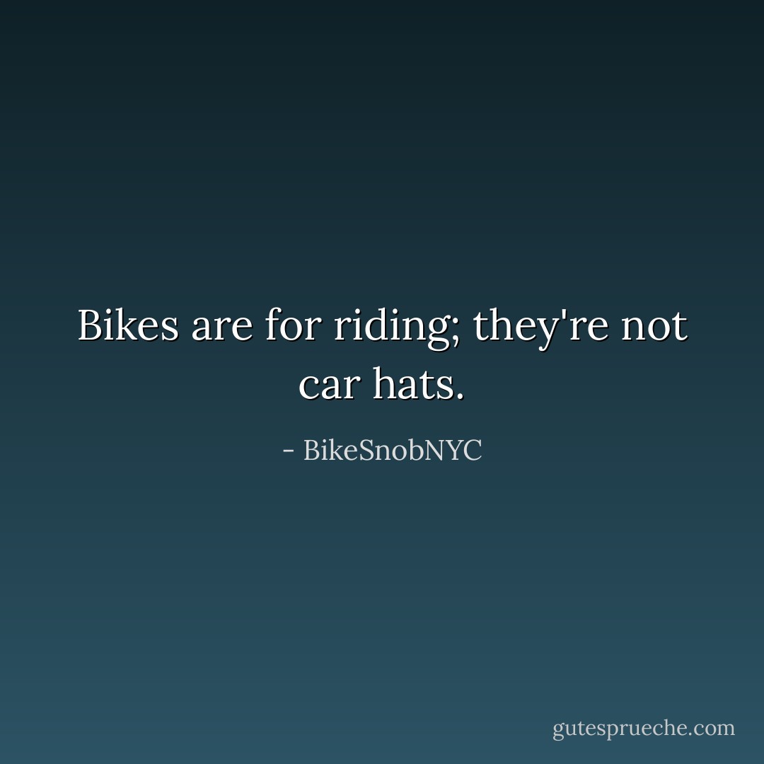 Bikes are for riding; they're not car hats. - BikeSnobNYC