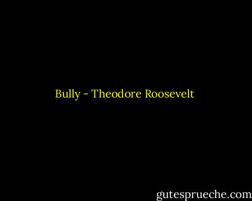 Bully - Theodore Roosevelt