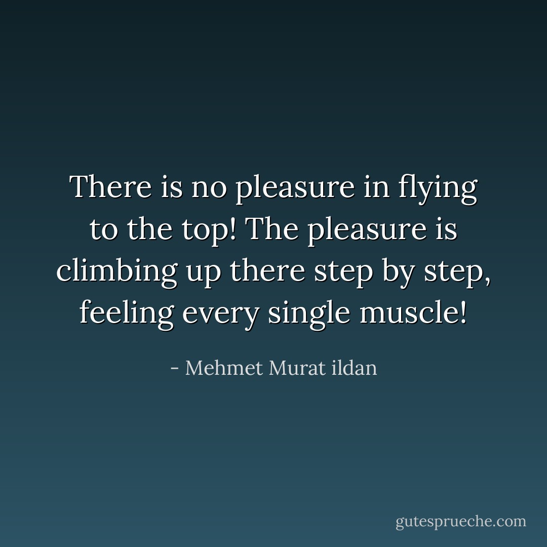 There is no pleasure in flying to the top! The pleasure is climbing up there step by step, feeling every single muscle! - Mehmet Murat ildan