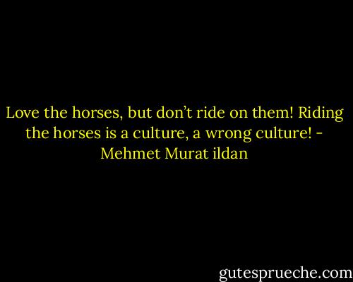 Love the horses, but don’t ride on them! Riding the horses is a culture, a wrong culture! - Mehmet Murat ildan