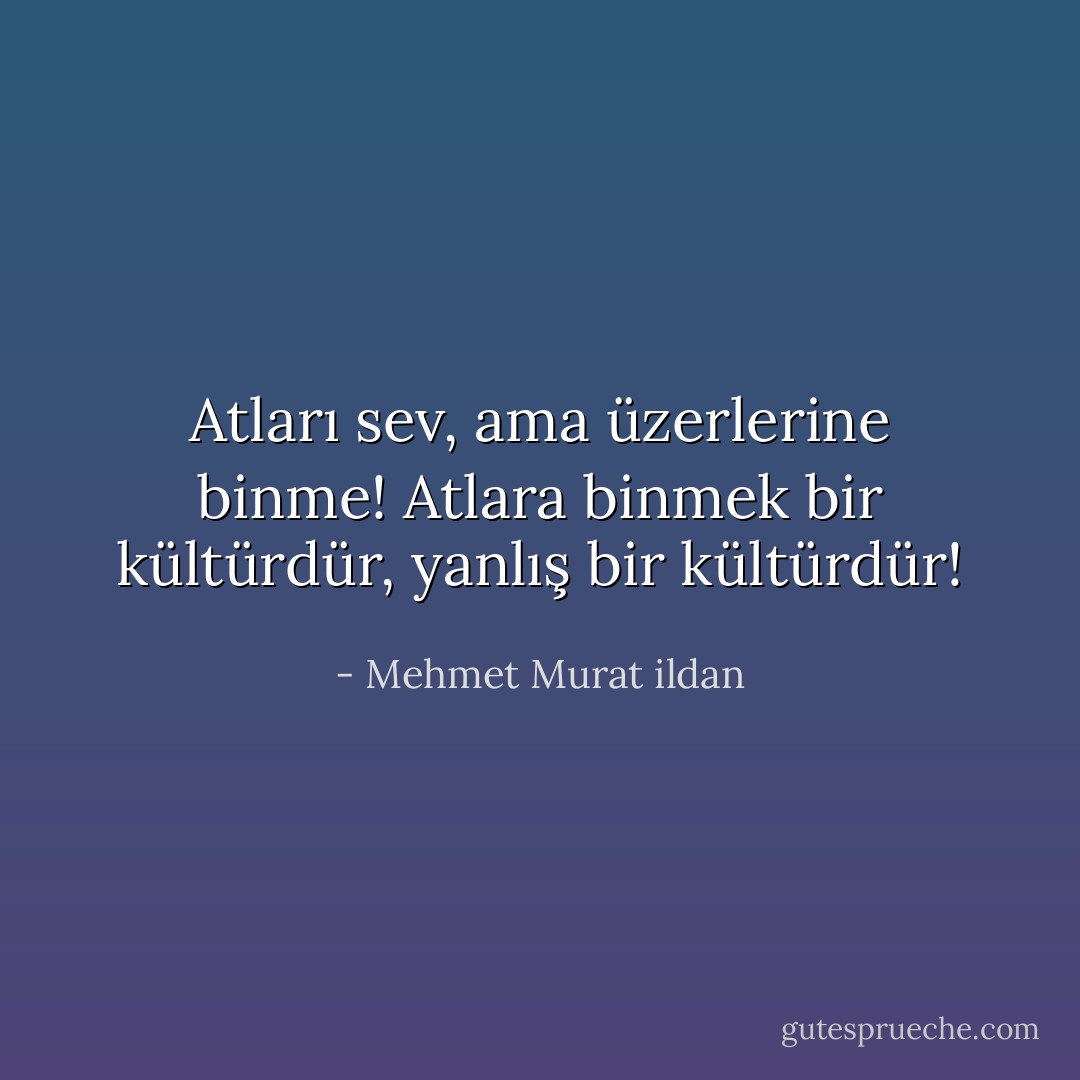 Atları sev, ama üzerlerine binme! Atlara binmek bir kültürdür, yanlış bir kültürdür! - Mehmet Murat ildan
