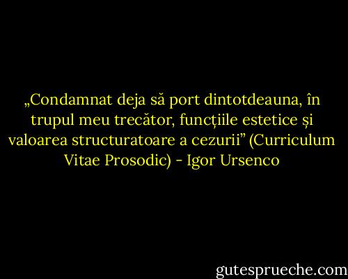 „Condamnat deja să port dintotdeauna, în trupul meu trecător, funcțiile estetice și valoarea structuratoare a cezurii” (Curriculum Vitae Prosodic) - Igor Ursenco