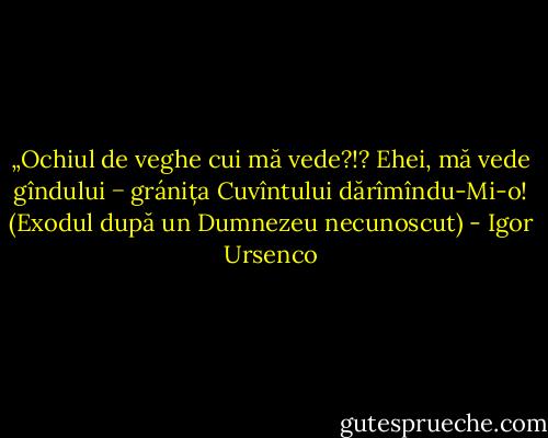 „Ochiul de veghe cui mă vede?!? Ehei, mă vede gîndului − gránița Cuvîntului dărîmîndu-Mi-o! (Exodul după un Dumnezeu necunoscut) - Igor Ursenco