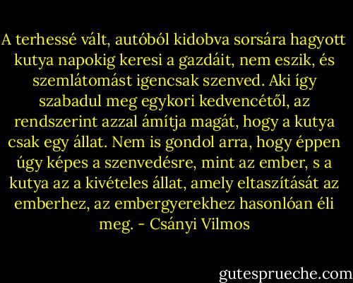 A terhessé vált, autóból kidobva sorsára hagyott kutya napokig keresi a gazdáit, nem eszik, és szemlátomást igencsak szenved. Aki így szabadul meg egykori kedvencétől, az rendszerint azzal ámítja magát, hogy a kutya csak egy állat. Nem is gondol arra, hogy éppen úgy képes a szenvedésre, mint az ember, s a kutya az a kivételes állat, amely eltaszítását az emberhez, az embergyerekhez hasonlóan éli meg. - Csányi Vilmos