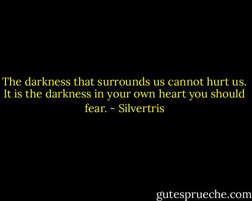 The darkness that surrounds us cannot hurt us. It is the darkness in your own heart you should fear. - Silvertris