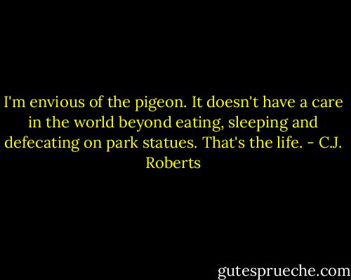 I'm envious of the pigeon. It doesn't have a care in the world beyond eating, sleeping and defecating on park statues. That's the life. - C.J. Roberts