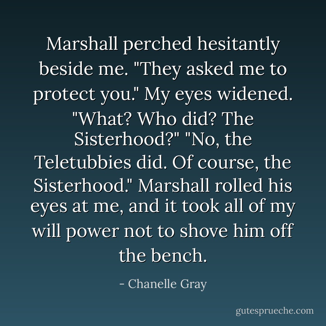 Marshall perched hesitantly beside me.<br />"They asked me to protect you."<br />My eyes widened. "What? Who did? The Sisterhood?"<br />"No, the Teletubbies did. Of course, the Sisterhood." Marshall rolled his eyes at me, and it took all of my will power not to shove him off the bench. - Chanelle Gray