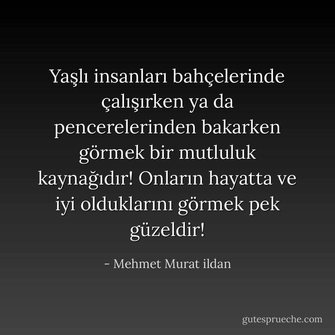 Yaşlı insanları bahçelerinde çalışırken ya da pencerelerinden bakarken görmek bir mutluluk kaynağıdır! Onların hayatta ve iyi olduklarını görmek pek güzeldir! - Mehmet Murat ildan