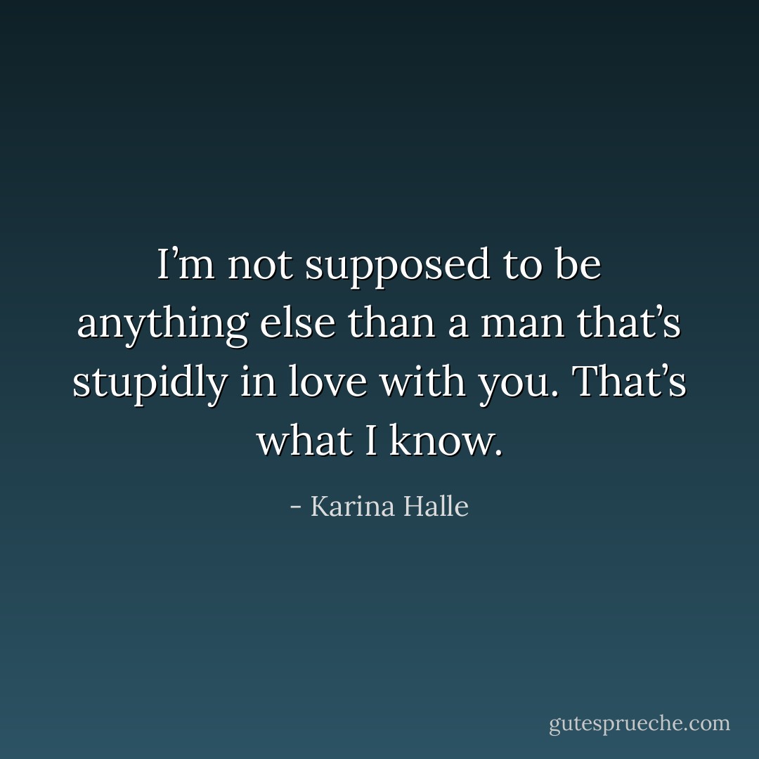 I’m not supposed to be anything else than a man that’s stupidly in love with you. That’s what I know. - Karina Halle