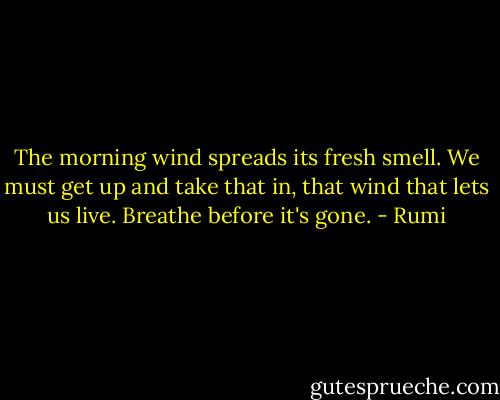The morning wind spreads its fresh smell. We must get up and take that in, that wind that lets us live. Breathe before it's gone. - Rumi