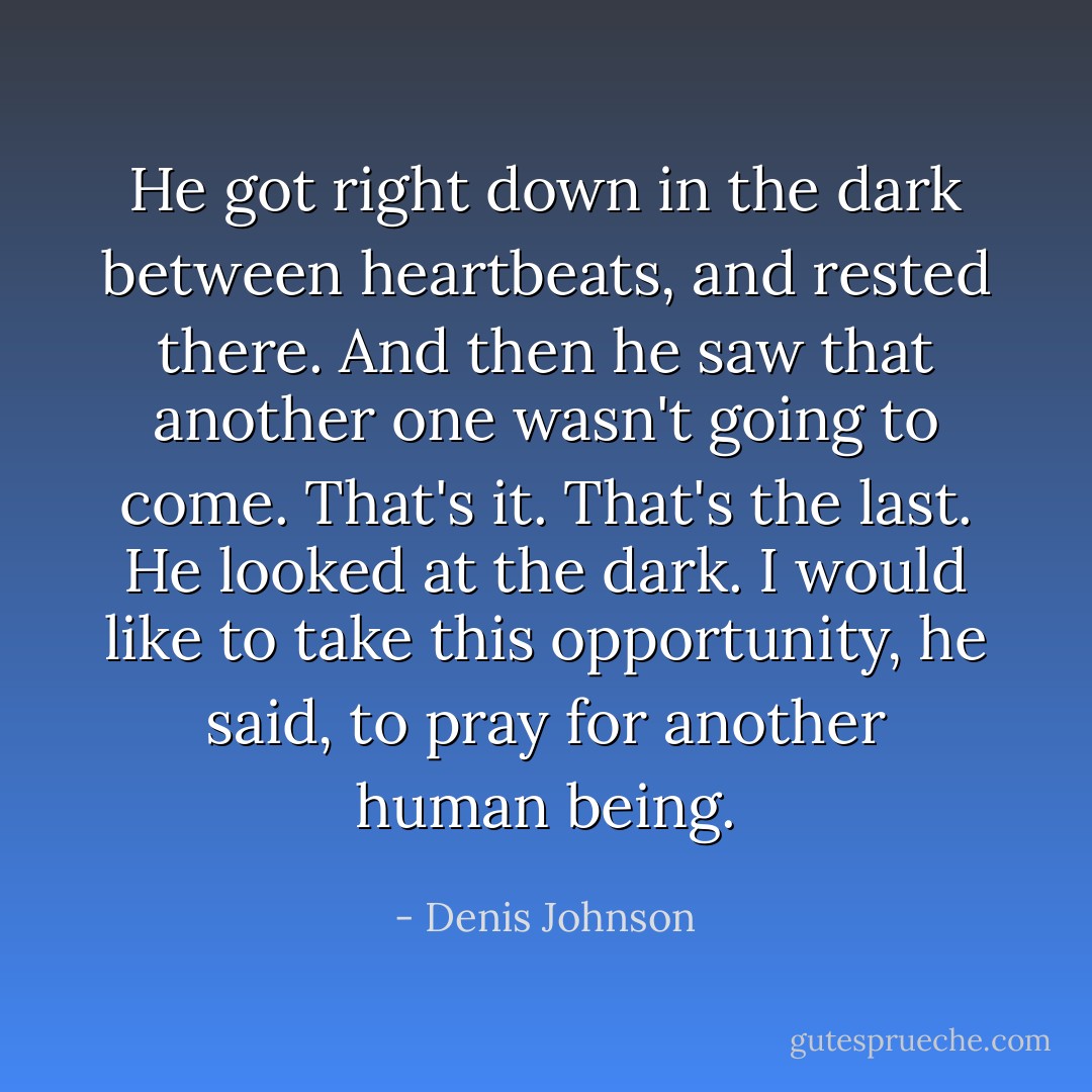 He got right down in the dark between heartbeats, and rested there. And then he saw that another one wasn't going to come. That's it. That's the last. He looked at the dark. I would like to take this opportunity, he said, to pray for another human being. - Denis Johnson