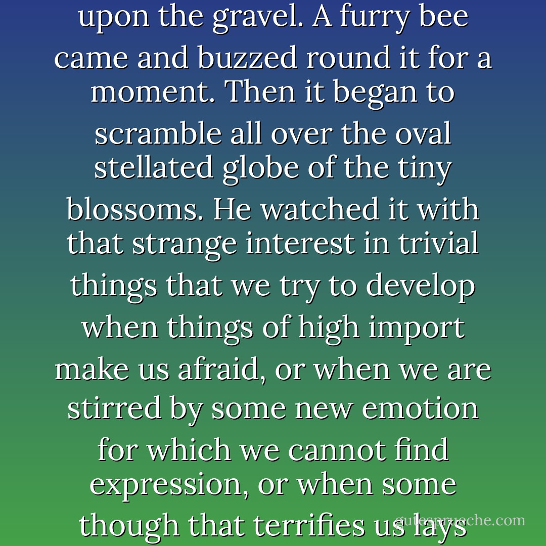Dorian Gray listened, open-eyed and wondering. The spray of lilac fell from his hand upon the gravel. A furry bee came and buzzed round it for a moment. Then it began to scramble all over the oval stellated globe of the tiny blossoms. He watched it with that strange interest in trivial things that we try to develop when things of high import make us afraid, or when we are stirred by some new emotion for which we cannot find expression, or when some though that terrifies us lays sudden siege to the brain and calls on us to yield. - Oscar Wilde