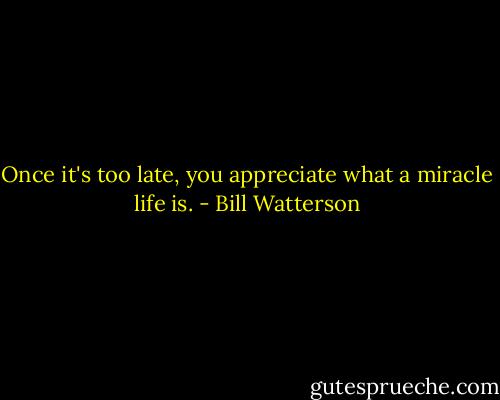 Once it's too late, you appreciate what a miracle life is. - Bill Watterson
