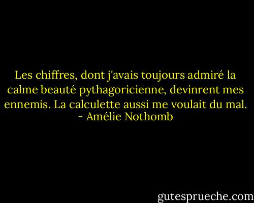 Les chiffres, dont j'avais toujours admiré la calme beauté pythagoricienne, devinrent mes ennemis. La calculette aussi me voulait du mal. - Amélie Nothomb