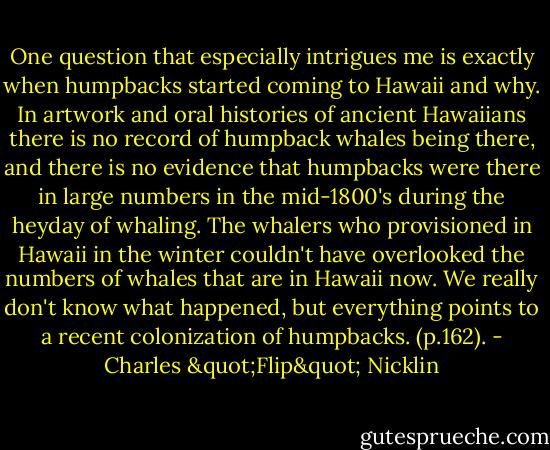 One question that especially intrigues me is exactly when humpbacks started coming to Hawaii and why. In artwork and oral histories of ancient Hawaiians there is no record of humpback whales being there, and there is no evidence that humpbacks were there in large numbers in the mid-1800's during the heyday of whaling. The whalers who provisioned in Hawaii in the winter couldn't have overlooked the numbers of whales that are in Hawaii now. We really don't know what happened, but everything points to a recent colonization of humpbacks. (p.162). - Charles "Flip" Nicklin