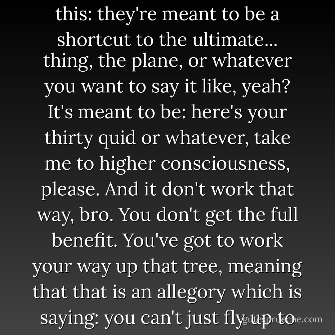 It's just the problem with those things, and what i've learnt is this: they're meant to be a shortcut to the ultimate... thing, the plane, or whatever you want to say it like, yeah? It's meant to be: here's your thirty quid or whatever, take me to higher consciousness, please. And it don't work that way, bro. You don't get the full benefit. You've got to work your way up that tree, meaning that that is an allegory which is saying: you can't just fly up to the branches. You get me? - Zadie Smith