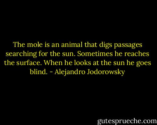 The mole is an animal that digs passages searching for the sun. Sometimes he reaches the surface. When he looks at the sun he goes blind. - Alejandro Jodorowsky