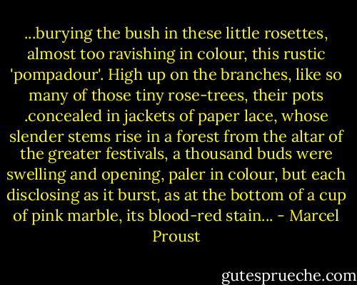 ...burying the bush in these little rosettes, almost too ravishing in colour, this rustic 'pompadour'. High up on the branches, like so many of those tiny rose-trees, their pots .concealed in jackets of paper lace, whose slender stems rise in a forest from the altar of the greater festivals, a thousand buds were swelling and opening, paler in colour, but each disclosing as it burst, as at the bottom of a cup of pink marble, its blood-red stain... - Marcel Proust