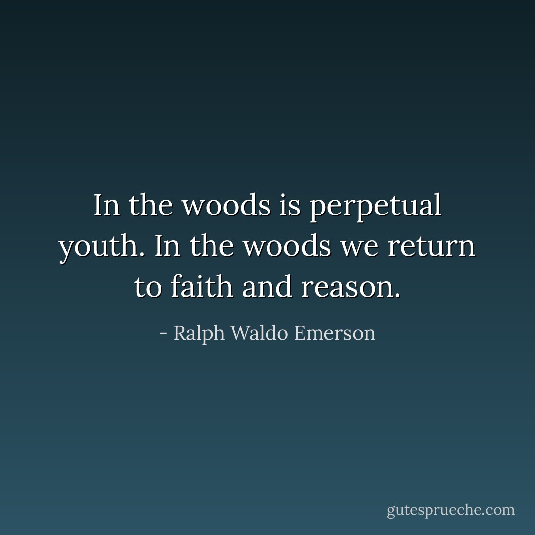 In the woods is perpetual youth. In the woods we return to faith and reason. - Ralph Waldo Emerson