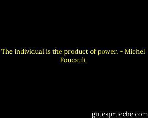 The individual is the product of power. - Michel Foucault
