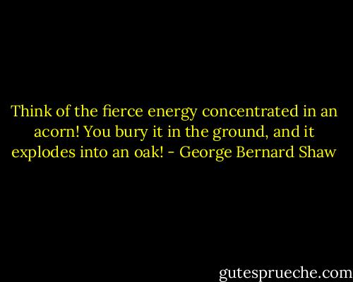 Think of the fierce energy concentrated in an acorn! You bury it in the ground, and it explodes into an oak! - George Bernard Shaw