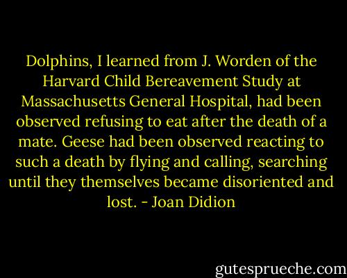 Dolphins, I learned from J. Worden of the Harvard Child Bereavement Study at Massachusetts General Hospital, had been observed refusing to eat after the death of a mate. Geese had been observed reacting to such a death by flying and calling, searching until they themselves became disoriented and lost. - Joan Didion