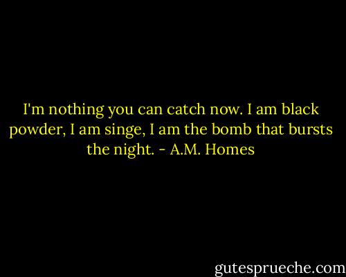 I'm nothing you can catch now. I am black powder, I am singe, I am the bomb that bursts the night. - A.M. Homes